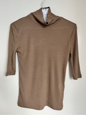 Lightweight Sheer Taupe Turtleneck Top